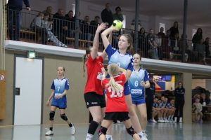 Weibl.D1 24.01.26 (4) (800x533)