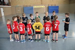 Mini B1 15.02.26 (1)