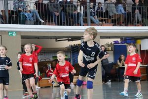 Mini B1 15.02.26 (10)