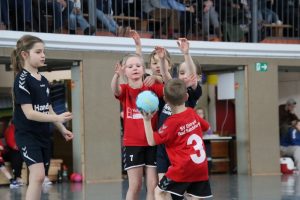 Mini B1 15.02.26 (11)