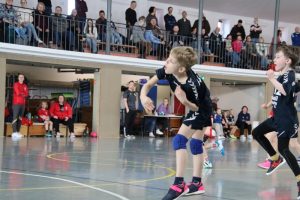 Mini B1 15.02.26 (13)