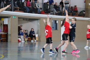 Mini B1 15.02.26 (14)