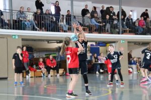 Mini B1 15.02.26 (15)