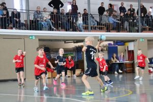 Mini B1 15.02.26 (16)