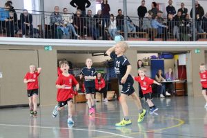 Mini B1 15.02.26 (17)