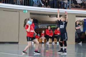 Mini B1 15.02.26 (2)