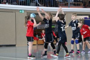 Mini B1 15.02.26 (23)