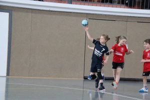 Mini B1 15.02.26 (3)