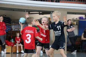 Mini B1 15.02.26 (4)