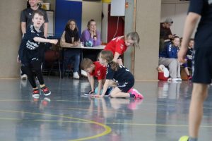 Mini B1 15.02.26 (5)