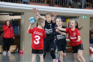 Mini B1 15.02.26 (8)