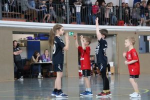 Mini B1 15.02.26 (9)